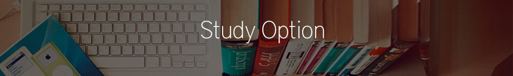 Study Option