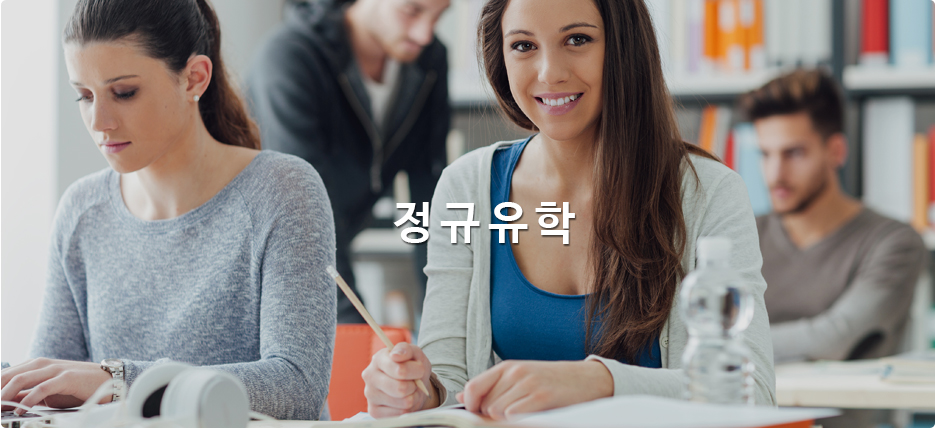 정규유학